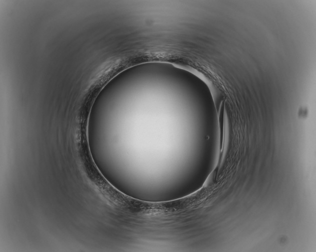 X0000096990738200802151352