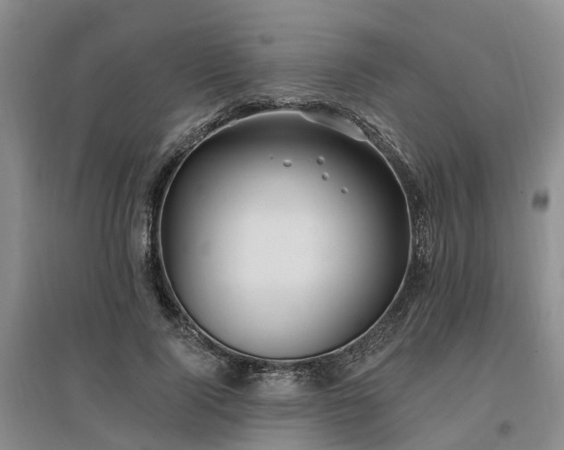 X0000096990740200802151352