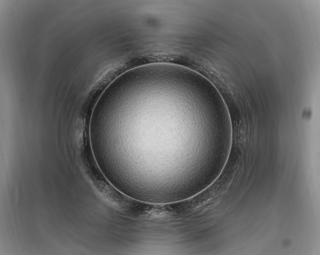X0000096990742200802151352