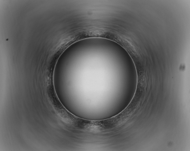 X0000096990743200802151352