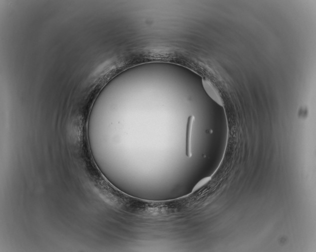 X0000096990744200802151352