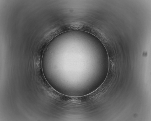 X0000096990745200802151352
