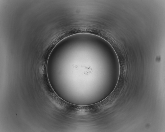 X0000096990746200802151352