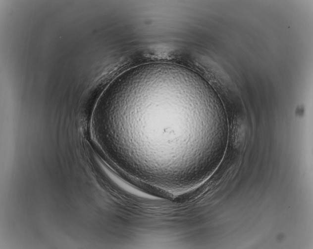 X0000096990747200802151352