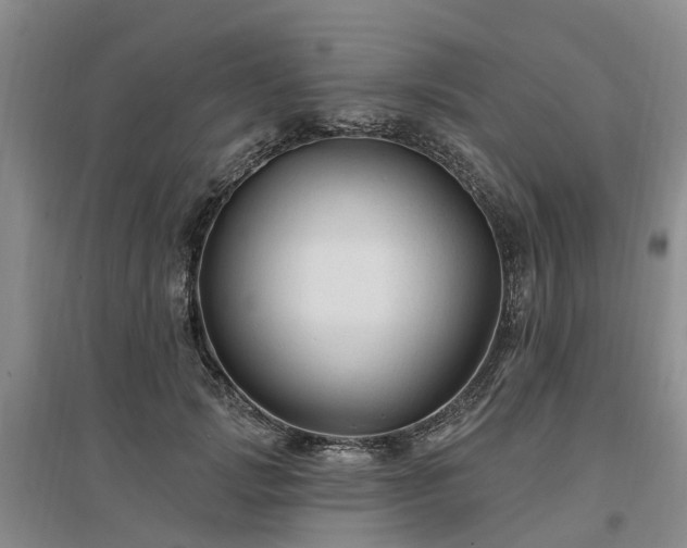 X0000096990749200802151352