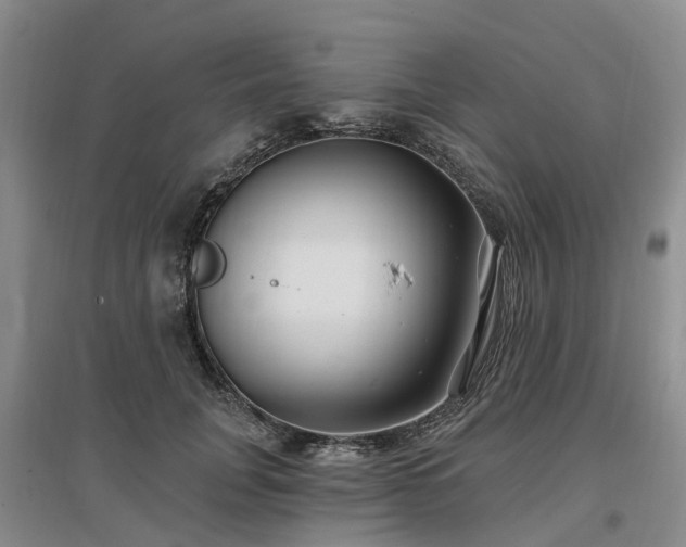 X0000096990751200802151352