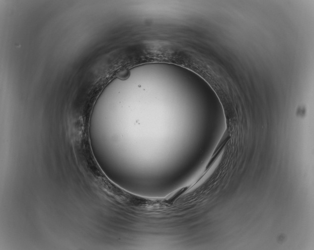 X0000096990752200802151352