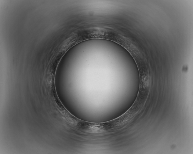 X0000096990753200802151352