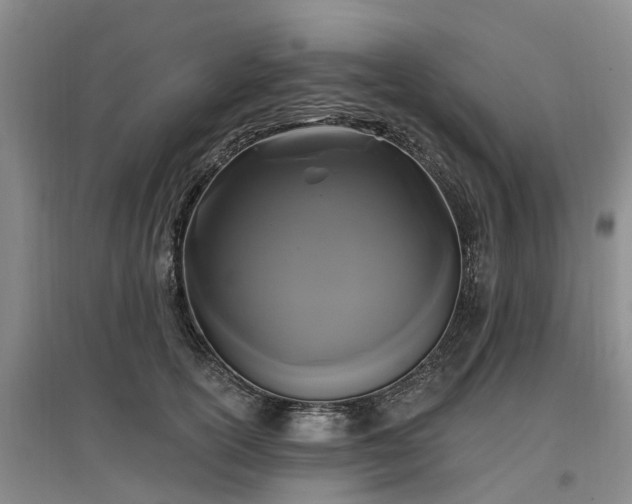 X0000096990754200802151352