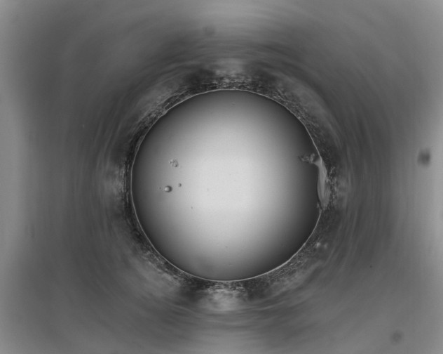 X0000096990756200802151352