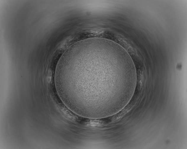 X0000096990758200802151352
