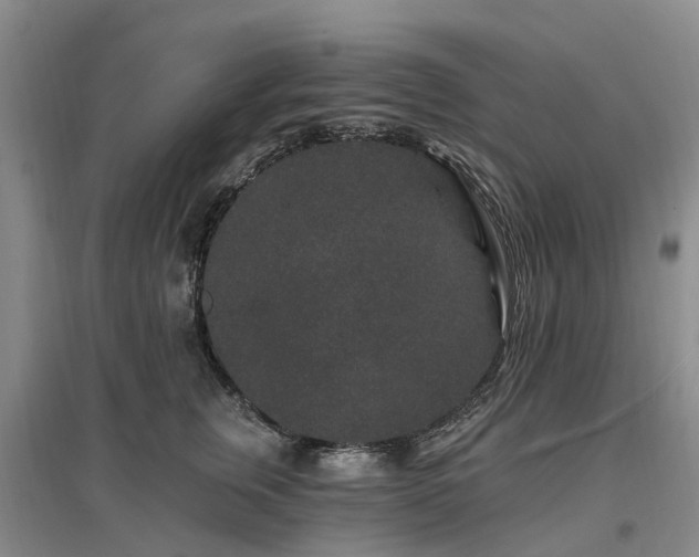 X0000096990759200802151352