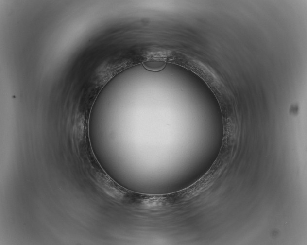 X0000096990761200802151352