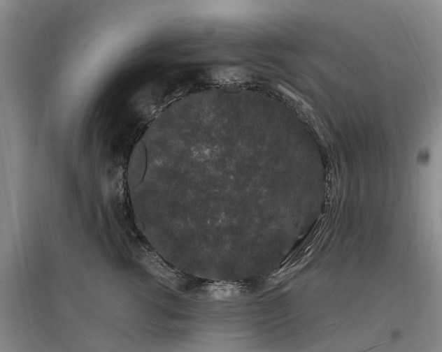 X0000096990762200802151352