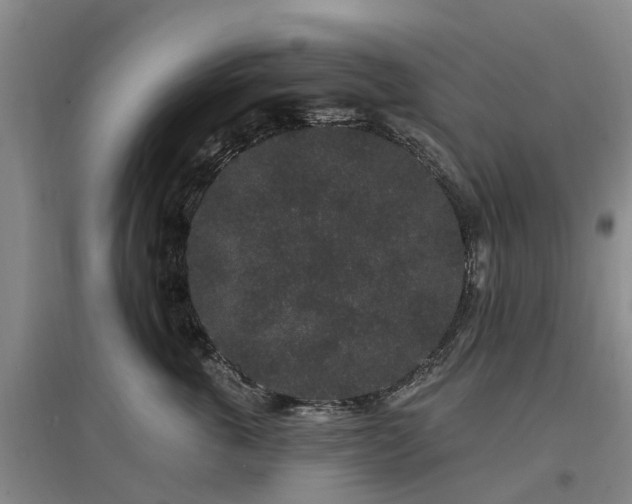 X0000096990763200802151352
