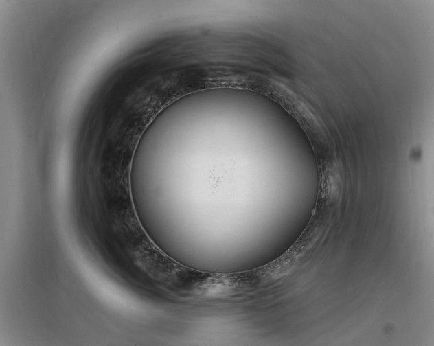 X0000096990764200802151352