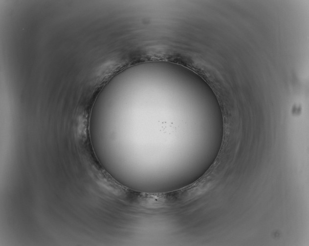 X0000096990768200802151352