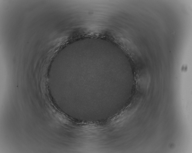 X0000096990769200802151352