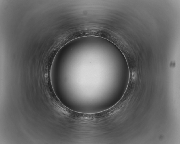X0000096990771200802151351