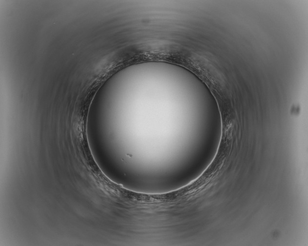 X0000096990772200802151351