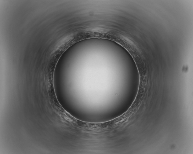 X0000096990774200802151351