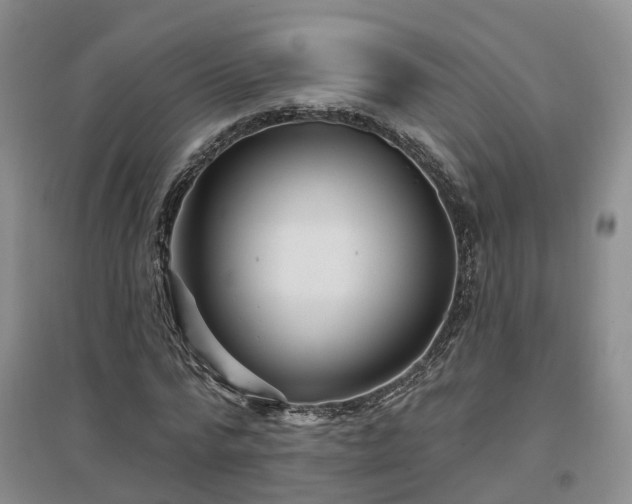 X0000096990776200802151351