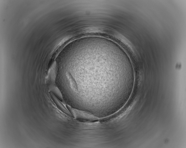 X0000096990777200802151351