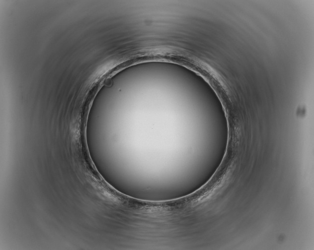 X0000096990778200802151351