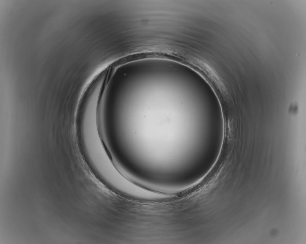 X0000096990780200802151351