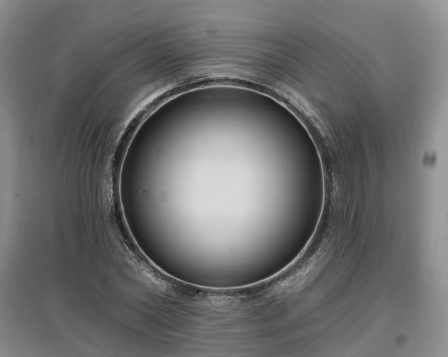 X0000096990782200802151351