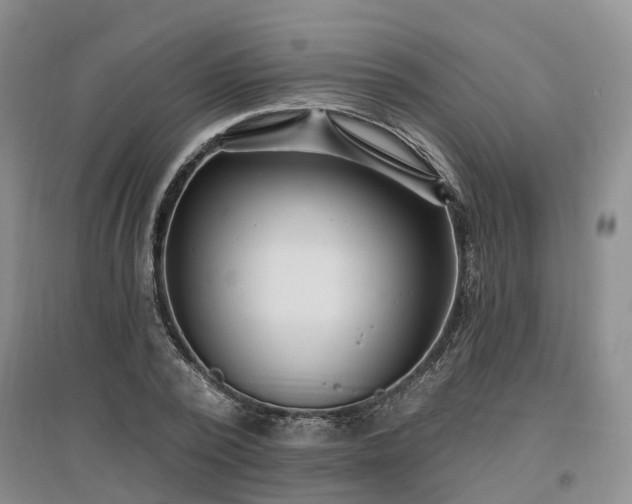 X0000096990784200802151351