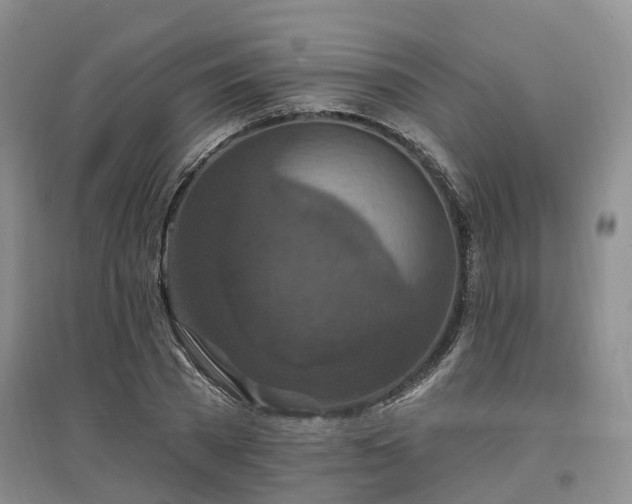 X0000096990785200802151351