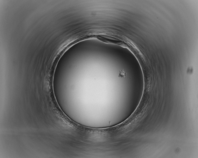 X0000096990786200802151351