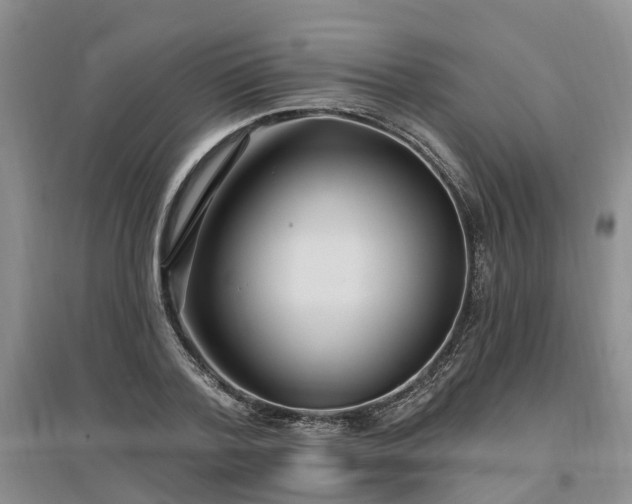 X0000096990788200802151351