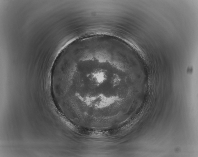X0000096990790200802151351
