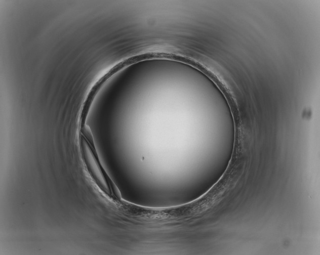 X0000096990791200802151351