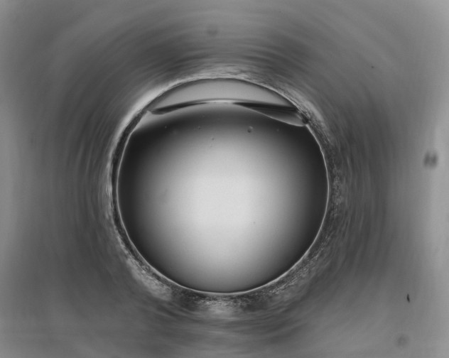 X0000096990792200802151351