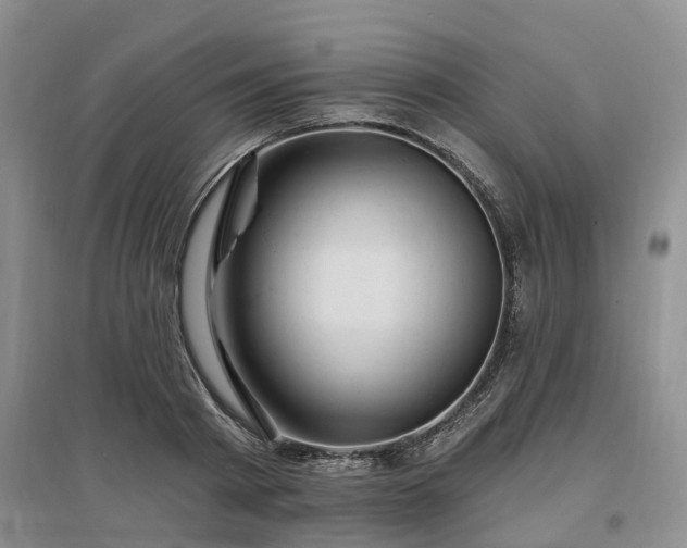 X0000096990793200802151351