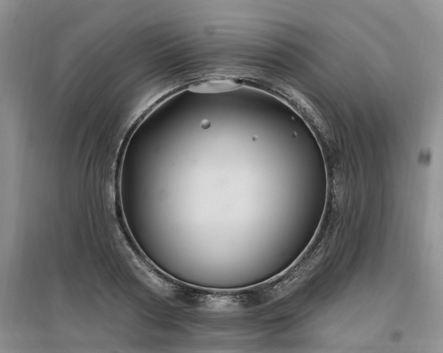 X0000096990794200802151351