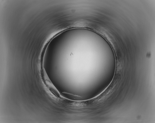 X0000096990795200802151351