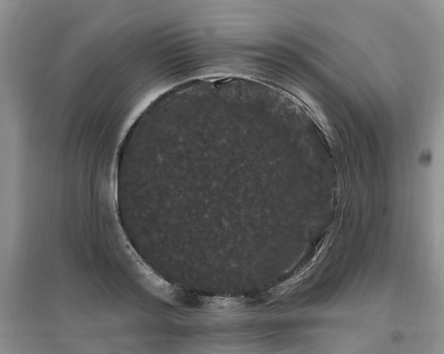 X0000096990796200802151351