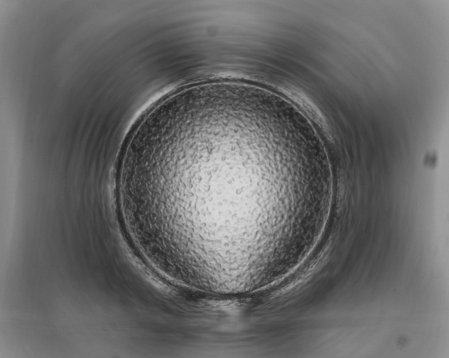 X0000096990798200802151351
