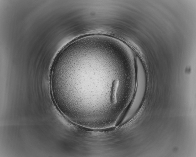 X0000096990800200802151351