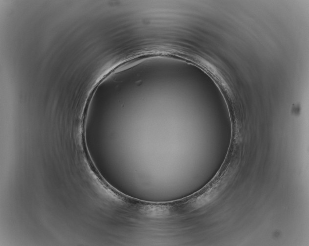 X0000096990802200802151351