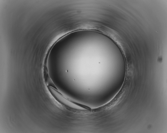 X0000096990803200802151351