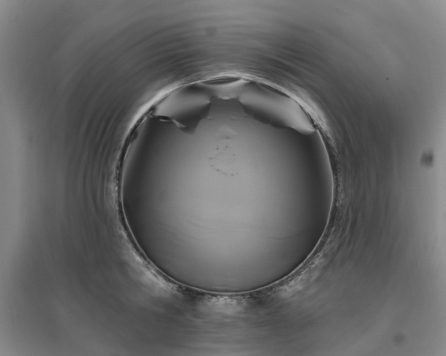 X0000096990806200802151351