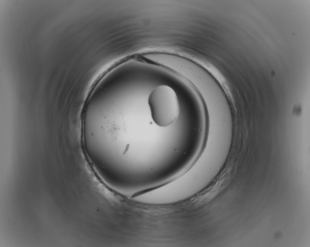 X0000096990807200802151351