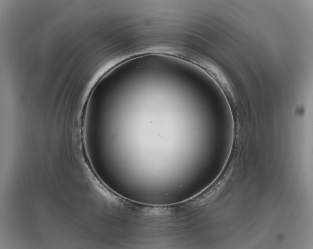 X0000096990808200802151351
