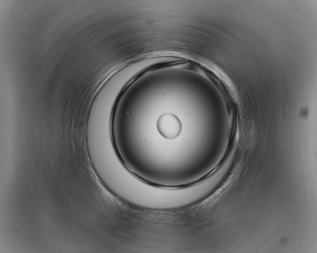 X0000096990809200802151351