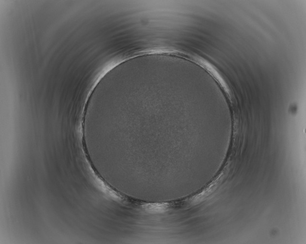 X0000096990810200802151351